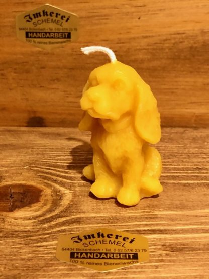 Kerze kleiner Hund