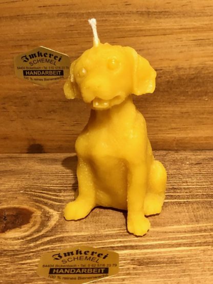 Kerze Hund mittel