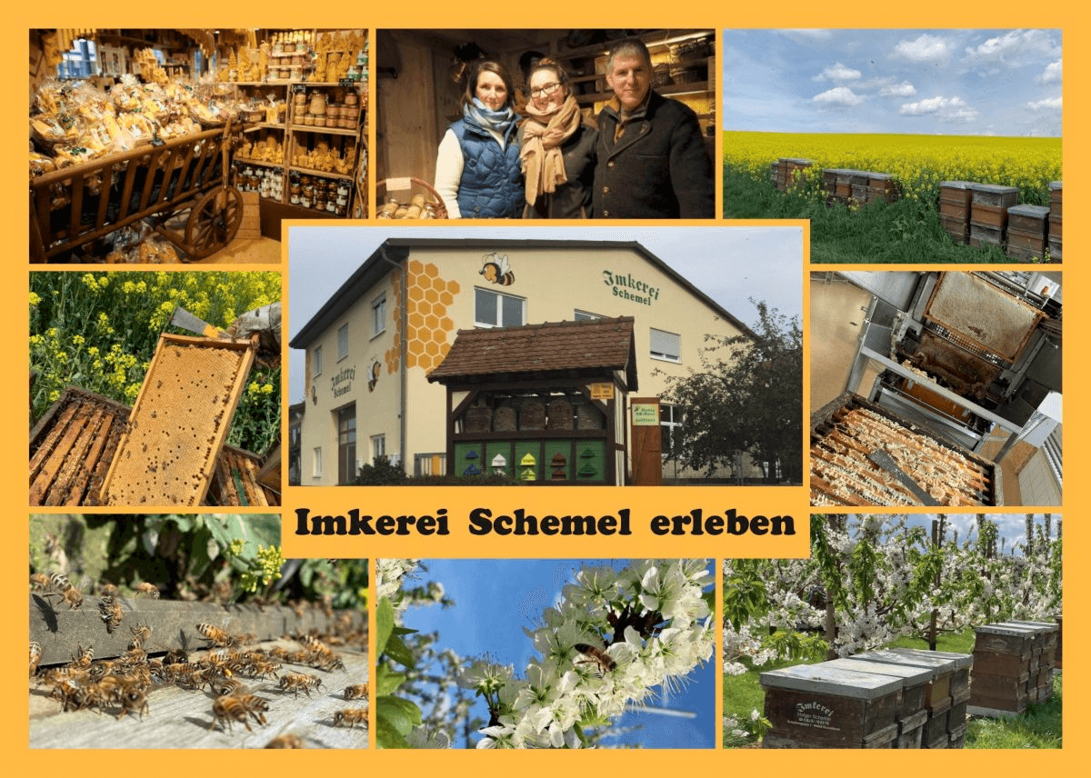 Imkerei Schemel erleben - Imkereibesichtigung